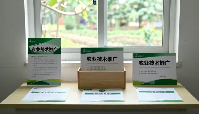 农产品供应如何通过技术匹配实现稳定保障